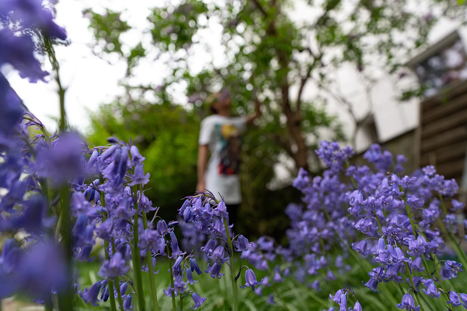 Garten von Meine Yogaliebe