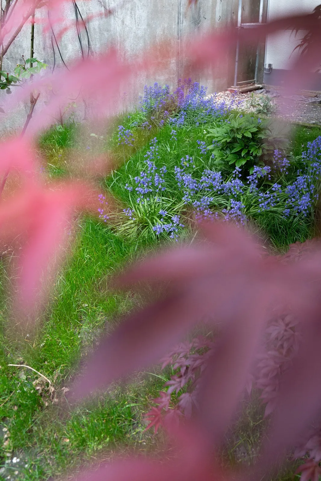 Garten von Meine Yogaliebe