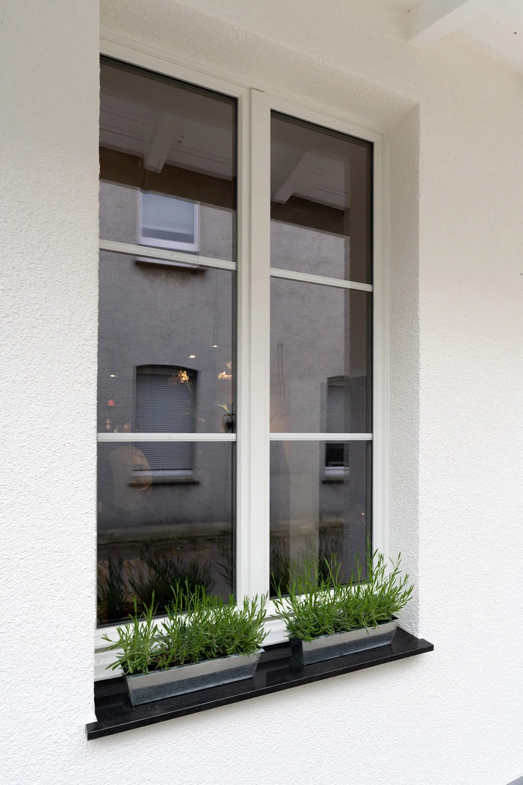 Garten von Meine Yogaliebe