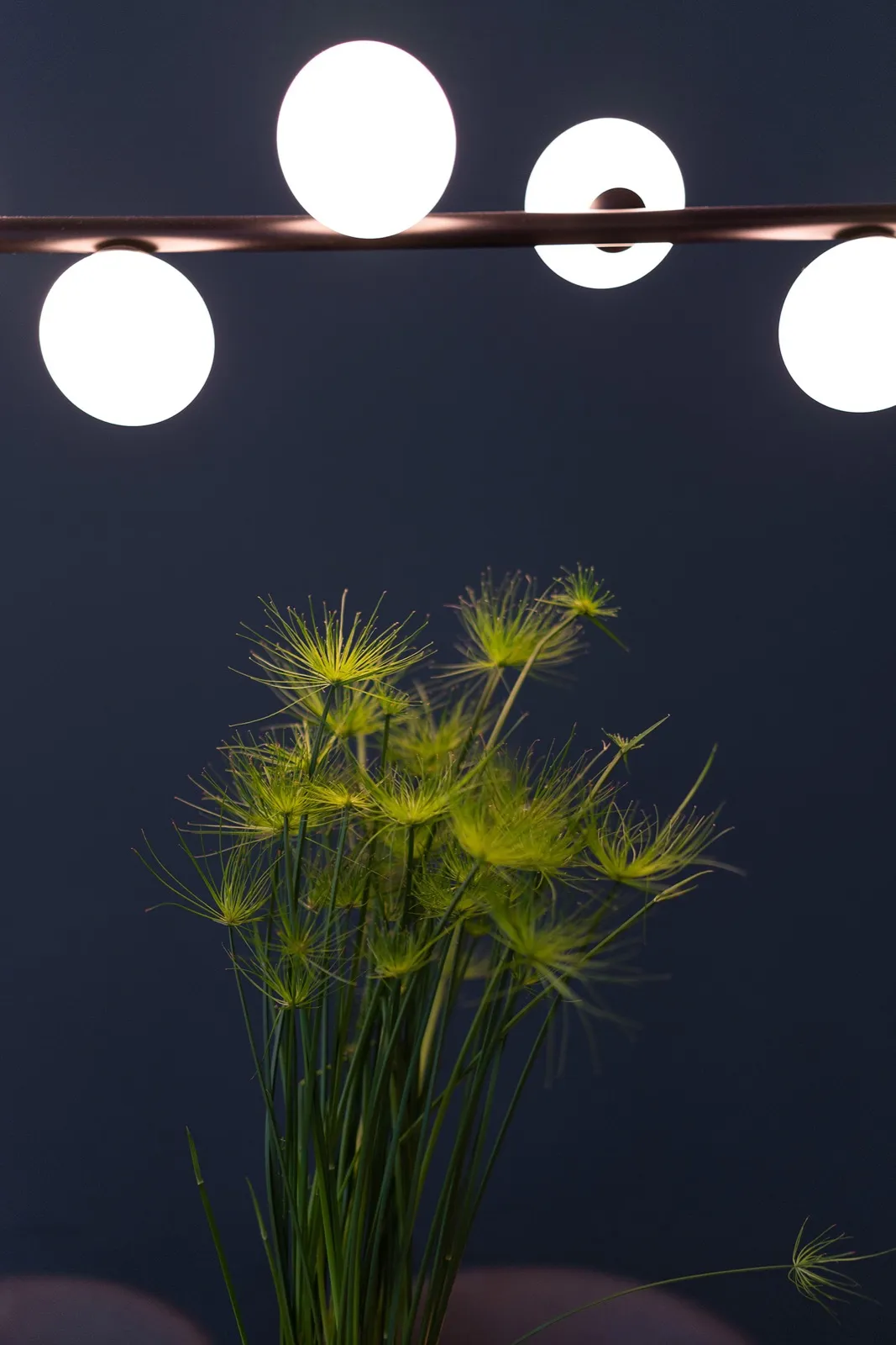 Impression aus dem Yogastudio Meine Yogaliebe