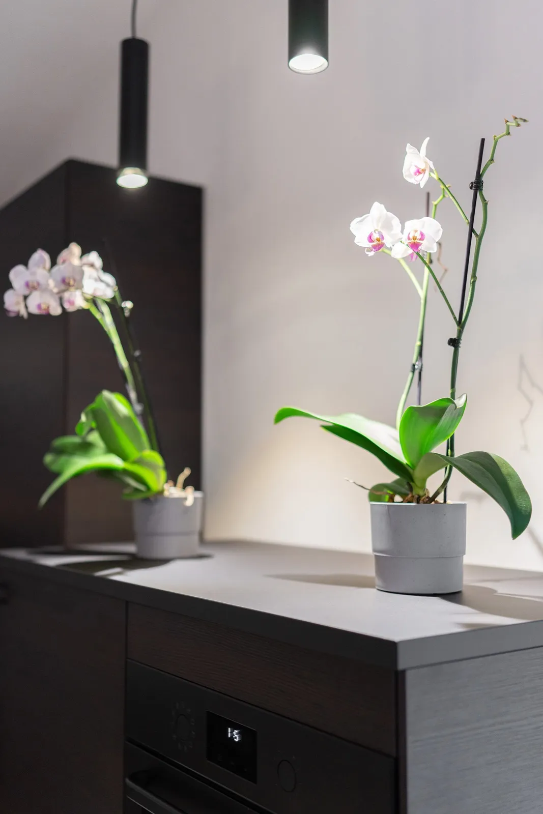 Impression aus dem Yogastudio Meine Yogaliebe