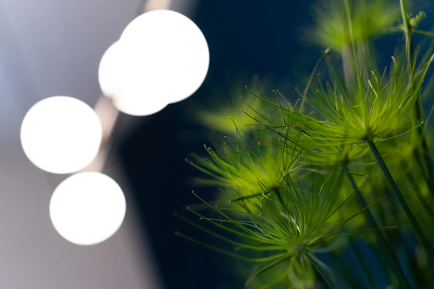Impression aus dem Yogastudio Meine Yogaliebe