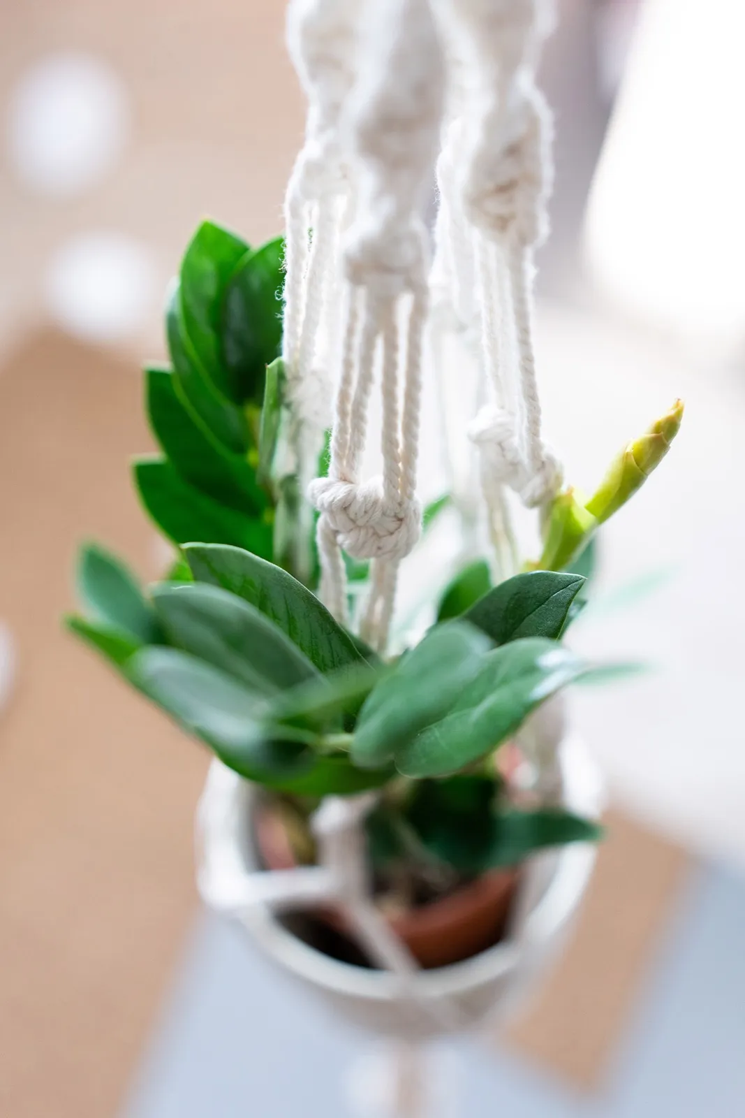 Impression aus dem Yogastudio Meine Yogaliebe